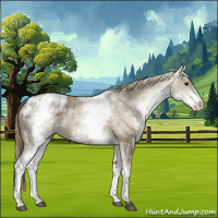 Horse Color:White Spotted Smoky Grullo Appaloosa Rabicano 