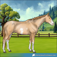 Horse Color:Chestnut Pearl Sabino