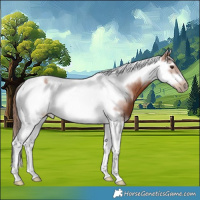 Horse Color:Chestnut Splash Tobiano Frame