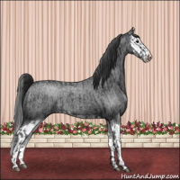 Horse Color:Blue Roan Sabino Splash and Blue Roan Sabino Splash