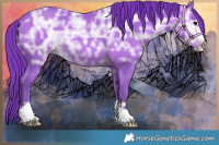 Horse Color:Watercolor Bay Ice 