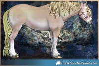 Horse Color:Watercolor Red Onyx 