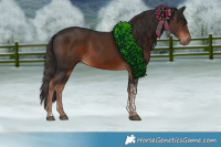 Horse Color:Liver Chestnut Tobiano 