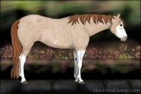 Horse Color:Red Dun Roan Splash Frame Rabicano