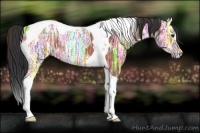 Horse Color:Brown Ice Tobiano