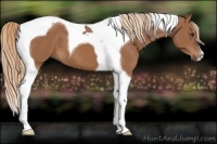 Horse Color:Chestnut Tobiano