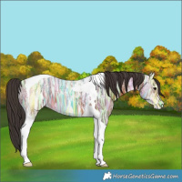 Horse Color:Bay Ice Tobiano