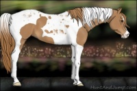 Horse Color:Chestnut Tobiano