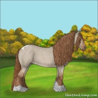 Horse Color:Red Dun Roan Tobiano 