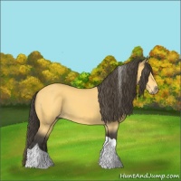 Horse Color:Buckskin Tobiano 