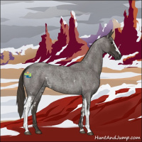 Horse Color:White Spotted Smoky Blue Roan 