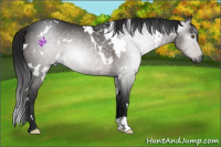 Horse Color:Gray Platinum White Spotted Brown Dun Rabicano 