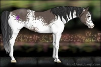 Horse Color:White Spotted Brown Dun Mushroom 