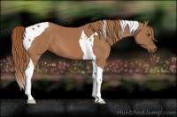 Horse Color:Chestnut Tobiano 