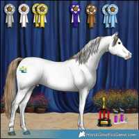 Horse Color:Buckskin Roan Appaloosa Rabicano 