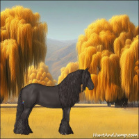 Horse Color:Smoky Black and Smoky Black
