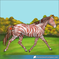 Horse Color:Red Roan 