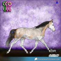 Horse Color:Buckskin Roan Splash  and Buckskin Roan Splash 