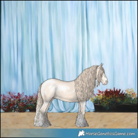 Horse Color:Perlino Sabino 