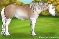Horse Color:Gray Silver Classic Champagne Splash 