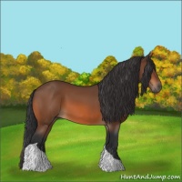 Horse Color:Bay Tobiano 