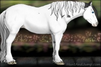 Horse Color:Black Splash Tobiano Varnish 
