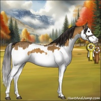 Horse Color:Buckskin Splash  and Buckskin Splash Rabicano 