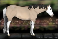 Horse Color:Bay Roan Dun Splash 