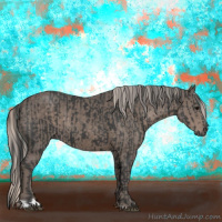 Horse Color:Black  and Silver Black 