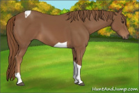 Horse Color:Chestnut Tobiano 