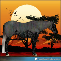 Horse Color:Void Midnight Perlino Ice Splash  and Void Midnight Buckskin Ice Splash 