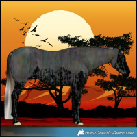 Horse Color:Void Midnight Perlino Ice Splash  and Void Midnight Buckskin Ice Splash 