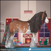 Horse Color:Bay Sabino 