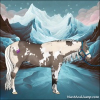 Horse Color:Perlino Sabino Rabicano  and White Spotted Liver Chestnut Mushroom 