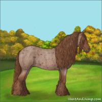Horse Color:Red Roan 