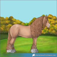 Horse Color:Gold Champagne 
