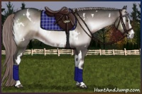 Horse Color:Platinum White Spotted Liver Red Onyx Sabino 