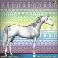 Horse Color:Gray White Spotted Silver Black Tobiano  and Black Splash 