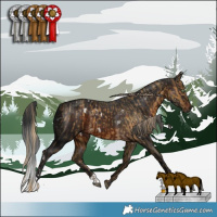 Horse Color:Chocolate Palomino Dun and White Spotted Brown