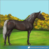 Horse Color:Silver Brown 