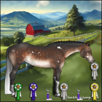 Horse Color:White Spotted Brown Tobiano 