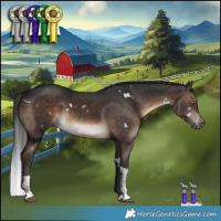 Horse Color:White Spotted Brown Tobiano 