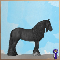 Horse Color:Black and Black Rabicano