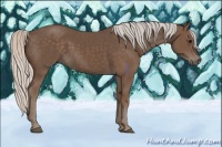 Horse Color:Silver Black 
