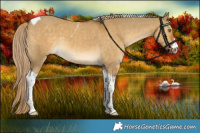 Horse Color:Chocolate Palomino Dun Tobiano 