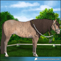Horse Color:Classic Champagne and Sable Champagne