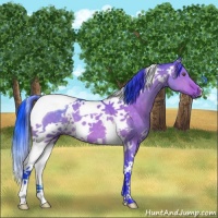 Horse Color:Watercolor White Spotted Brown Dun Tobiano 