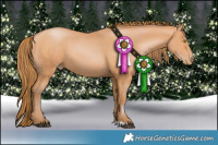 Horse Color:Bay Pearl 