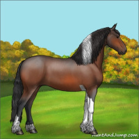 Horse Color:Bay Roan Tobiano 