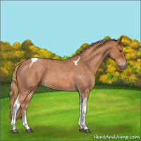 Horse Color:Red Roan Tobiano 
